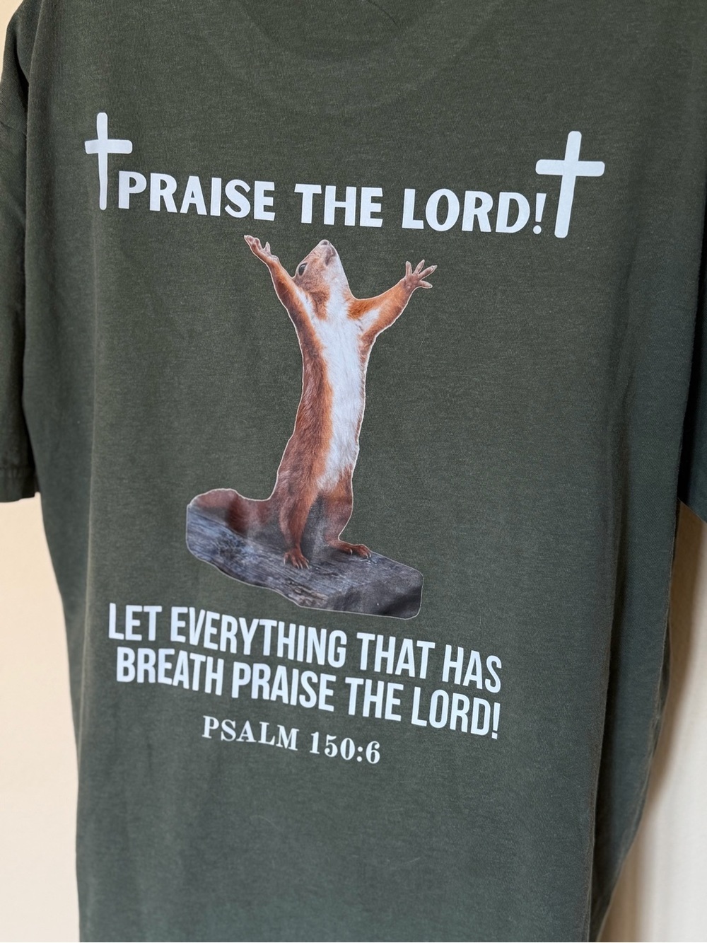Comfort Colors Praise The Lord Squirrel Tee Brand New - Picture 9 of 9